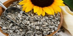 Sunflower Seed - Salty 500G - Thumbnail