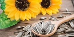 Sunflower Seed - Plain 500G - Thumbnail