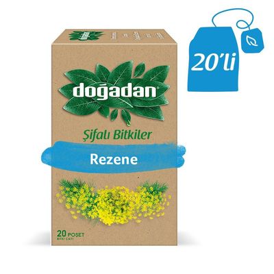 Doğadan Fennel - 1