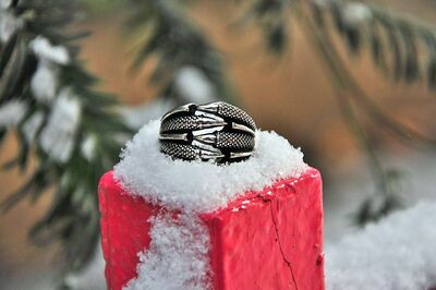 Eagle Claw 925 Sterling Silver Mens Ring - 4