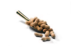 Full Peanut 500G - 2