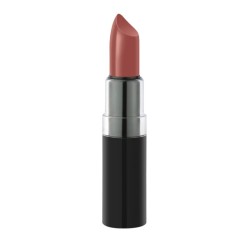 Golden Rose Vision Lipstick - 42