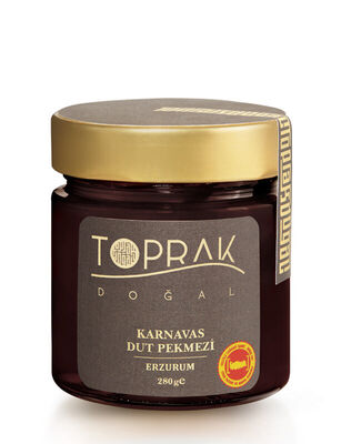 Karnavas Mulberry Molasses 280 G Erzurum - 1