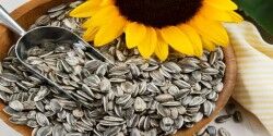 Sunflower Seed - Salty 500G - 3