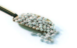 White Chickpeas 500G - 2